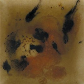 Safari - 4oz Mayco Crystal Glaze